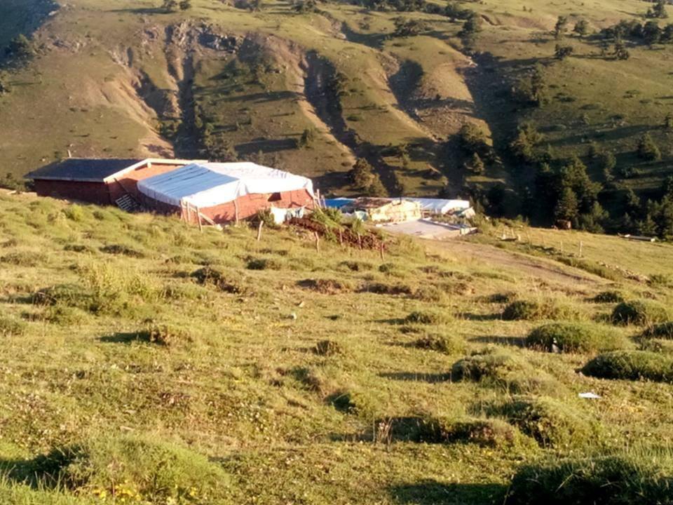 Niksar Mahmudiye Köyü Resimleri 6