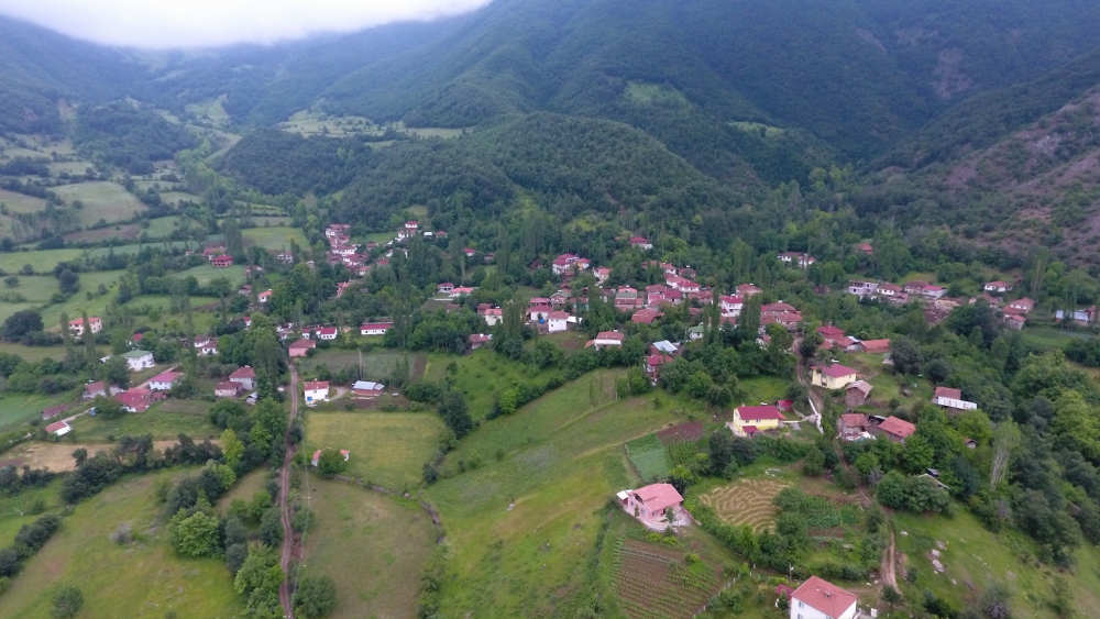 Niksar Mezraa Köyü Resimleri 1