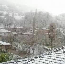 Niksar Mutluca Köyü Resimleri 2