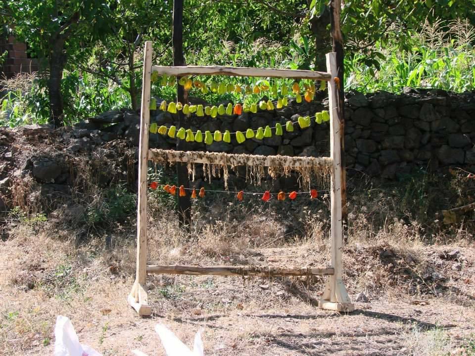 Niksar Mutluca Köyü Resimleri 7