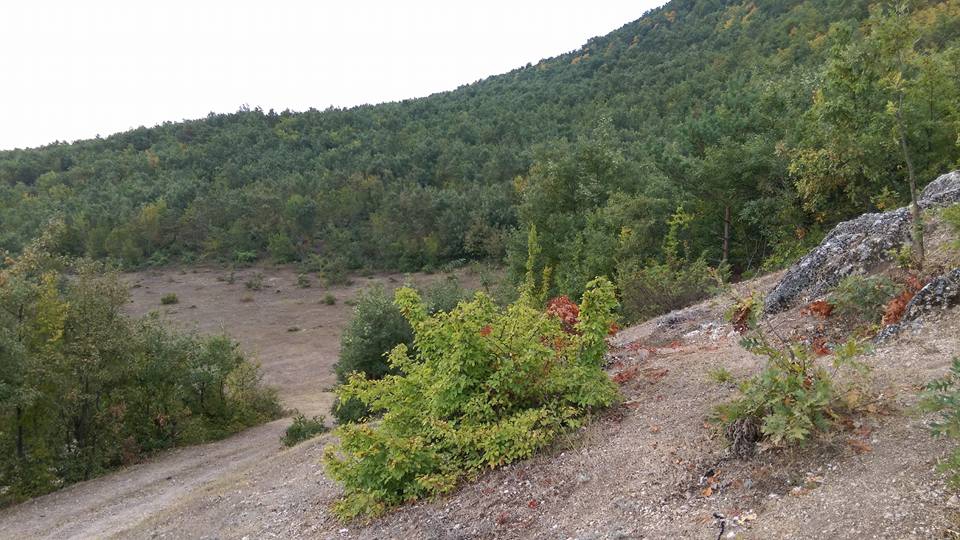 Niksar Oluklu Köyü Resimleri 3