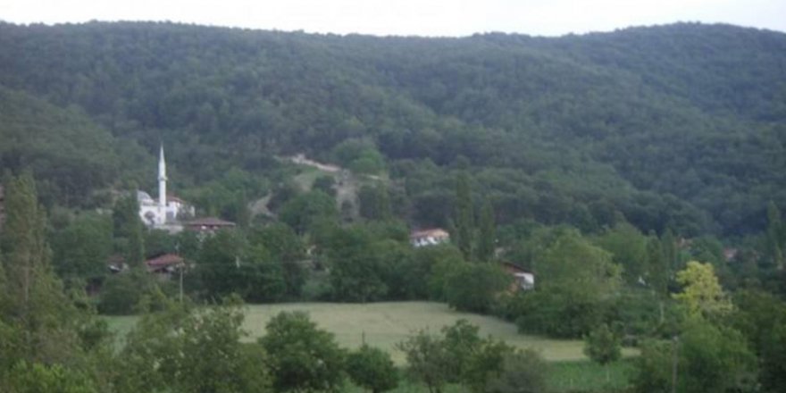 Niksar Oluklu Köyü Resimleri