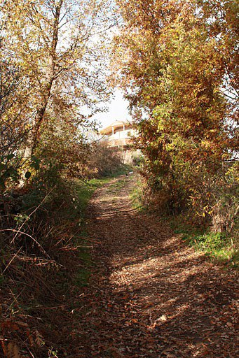 Niksar Örenler Köyü Reimleri 11