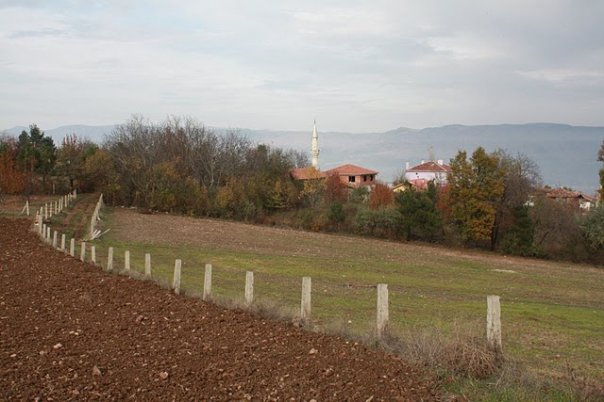 Niksar Örenler Köyü Reimleri 15