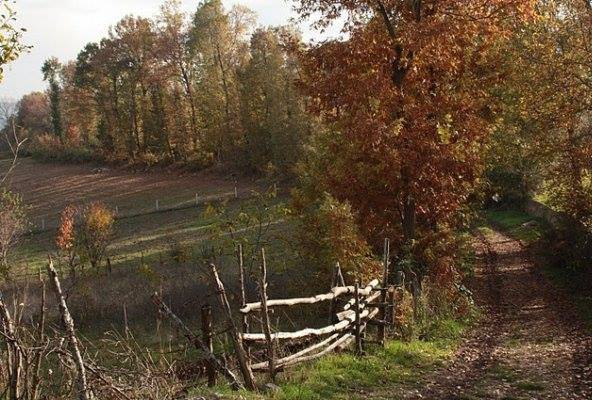 Niksar Örenler Köyü Reimleri 3