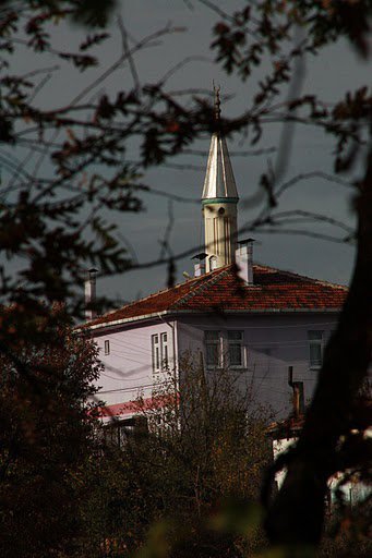 Niksar Örenler Köyü Reimleri 5