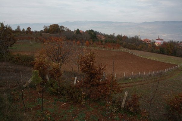 Niksar Örenler Köyü Reimleri 7