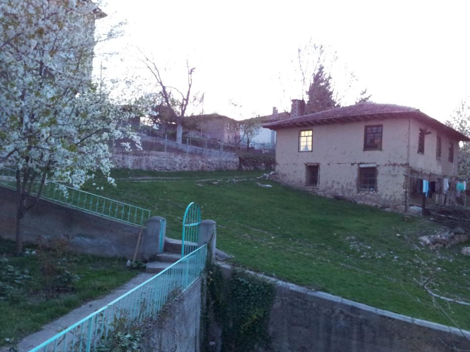 Niksar Örenler Köyü Reimleri 8