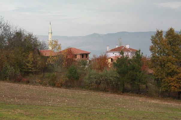 Niksar Örenler Köyü Reimleri 9