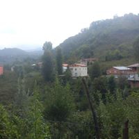 Gülyalı Hoşköy Köyü Resimleri 10