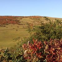 Gülyalı Hoşköy Köyü Resimleri 11