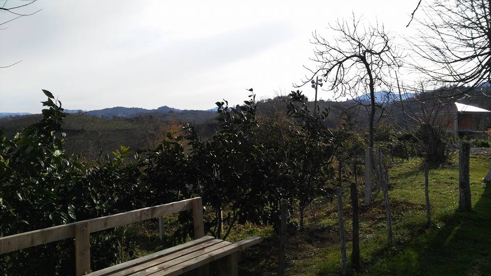 Gülyalı Gülistan Köyü Resimleri 1