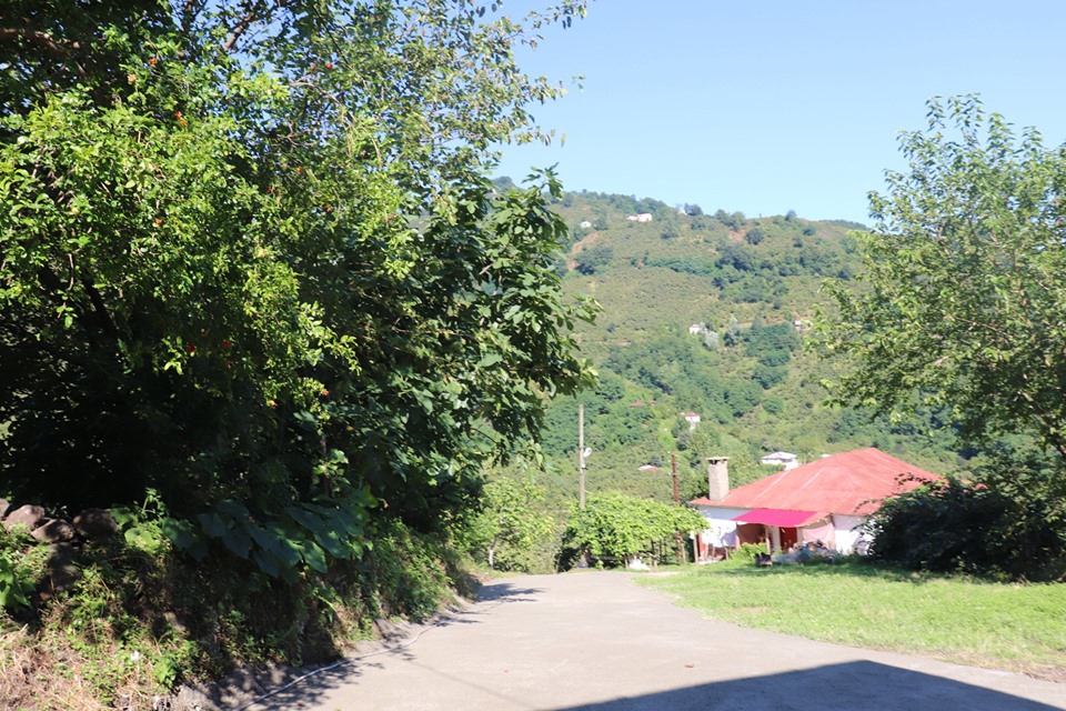 Gülyalı Gülistan Köyü Resimleri 2