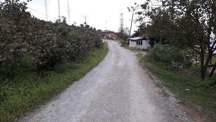 Gülyalı Gülistan Köyü Resimleri 3