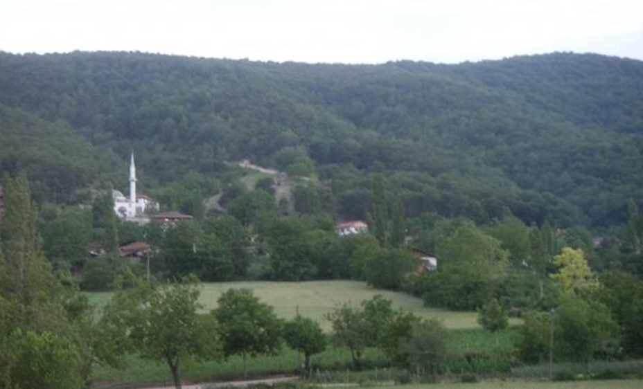 Niksar Özalan Köyü Resimleri 1