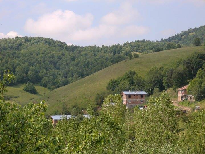 Niksar Özveren  Köyü Resimleri 4