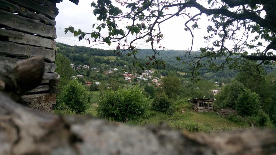 Niksar Özveren  Köyü Resimleri 5