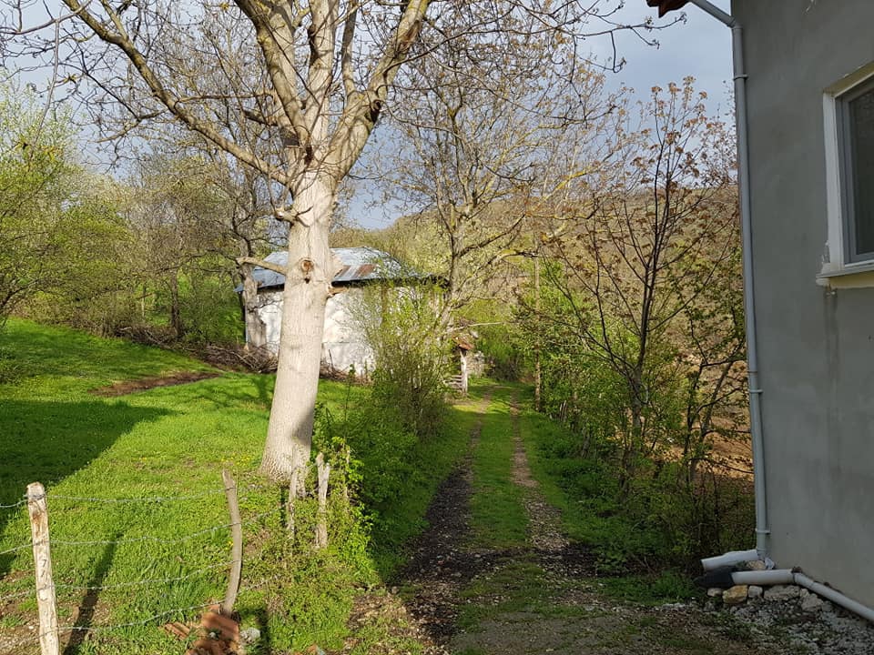 Niksar Sorhun Köyü Resimleri 4