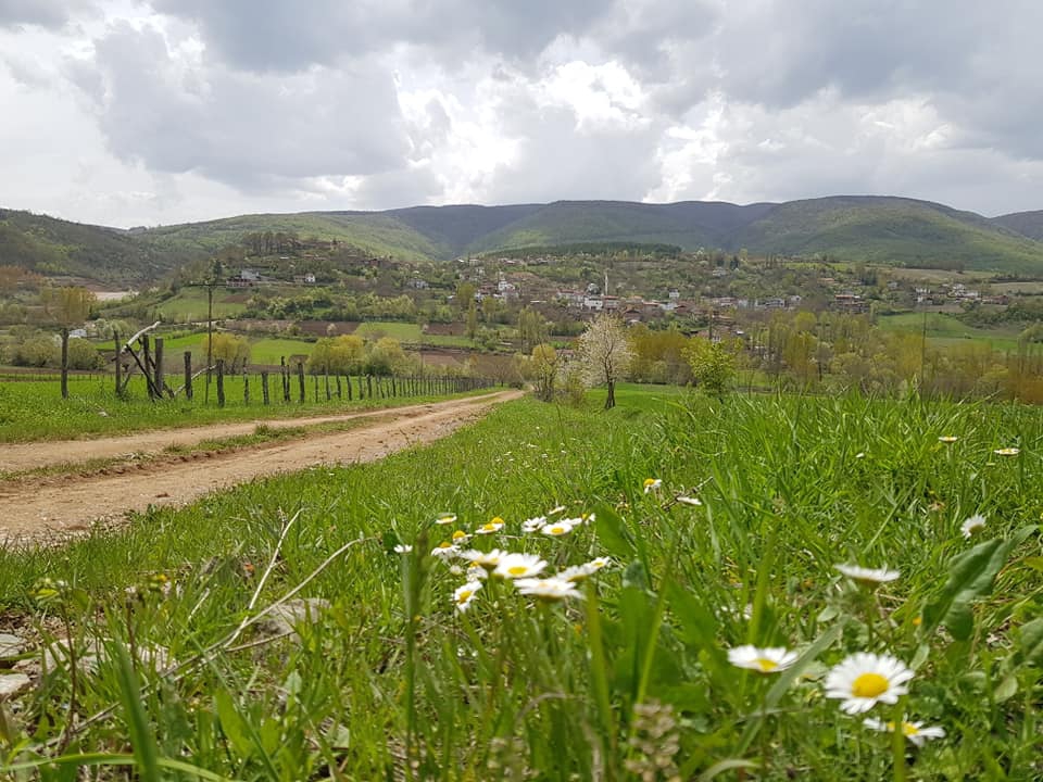 Niksar Sorhun Köyü Resimleri 9