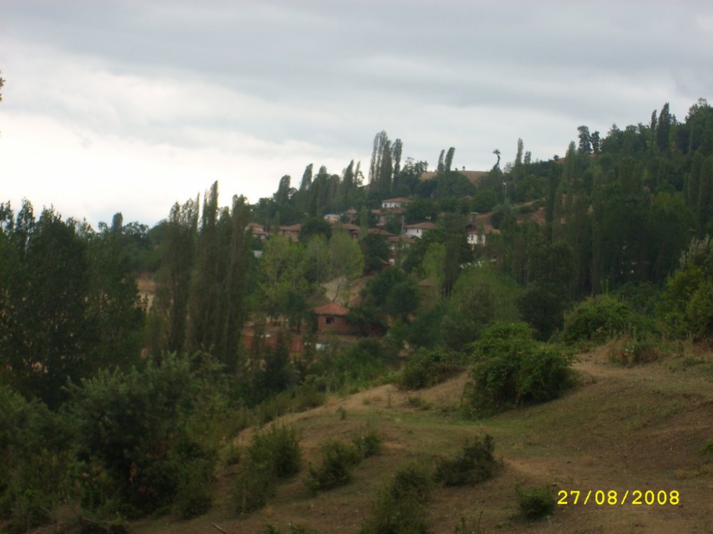 Niksar Teknealan Köyü Resimleri 3