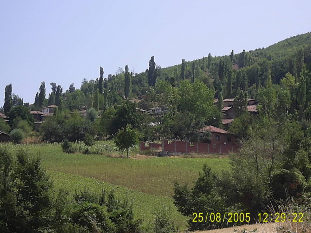 Niksar Teknealan Köyü Resimleri 5