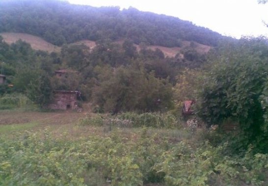 Niksar Terzioğlu Köyü Resimleri 1