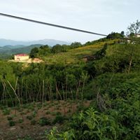 Gürgentepe Ağızlar Köyü Resimleri 5