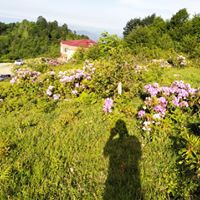 Gürgentepe Ağızlar Köyü Resimleri 6