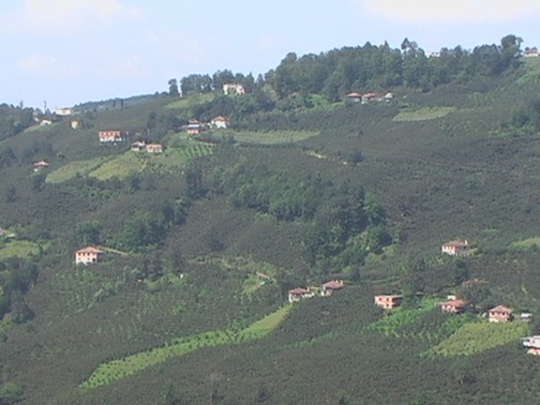 Gürgentepe Akören Köyü Resimleri 6