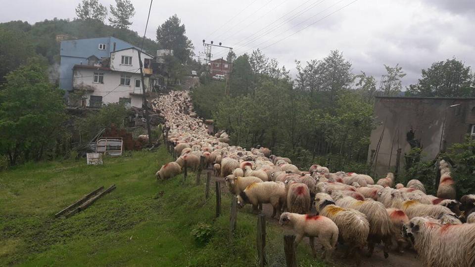 Gürgentepe Bahtiyarlar Köyü Resimleri 6