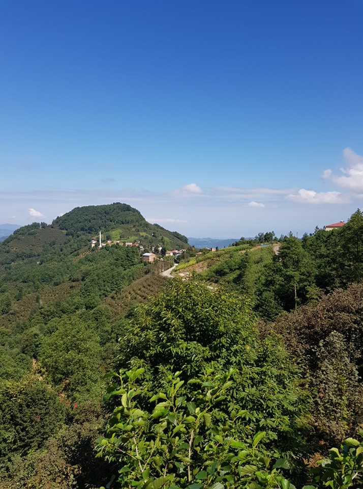 Gürgentepe Bahtiyarlar Köyü Resimleri 9