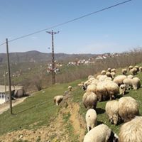 Gürgentepe Döşek Köyü Resimleri 5