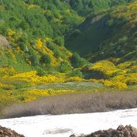 Gürgentepe Döşek Köyü Resimleri 7