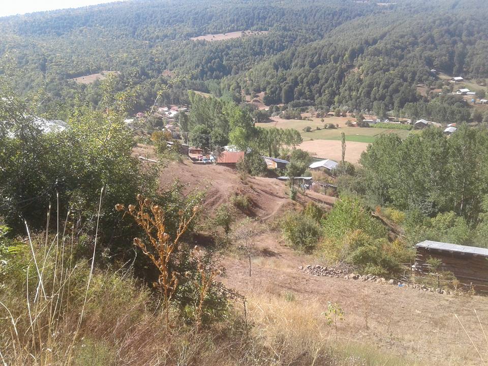 Niksar Yalıköy Köyü Resimleri 1