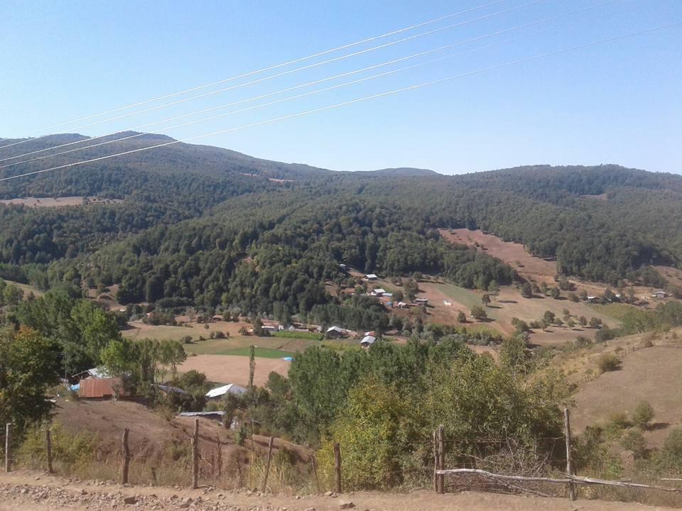 Niksar Yalıköy Köyü Resimleri 2