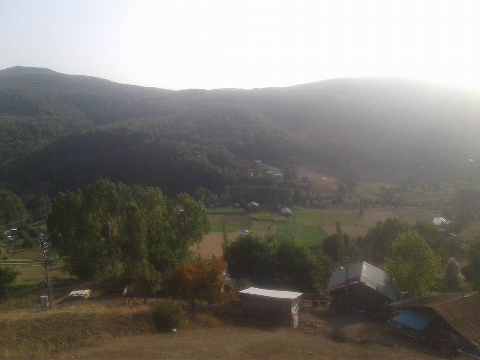 Niksar Yalıköy Köyü Resimleri 3