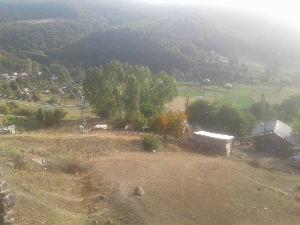 Niksar Yalıköy Köyü Resimleri 5