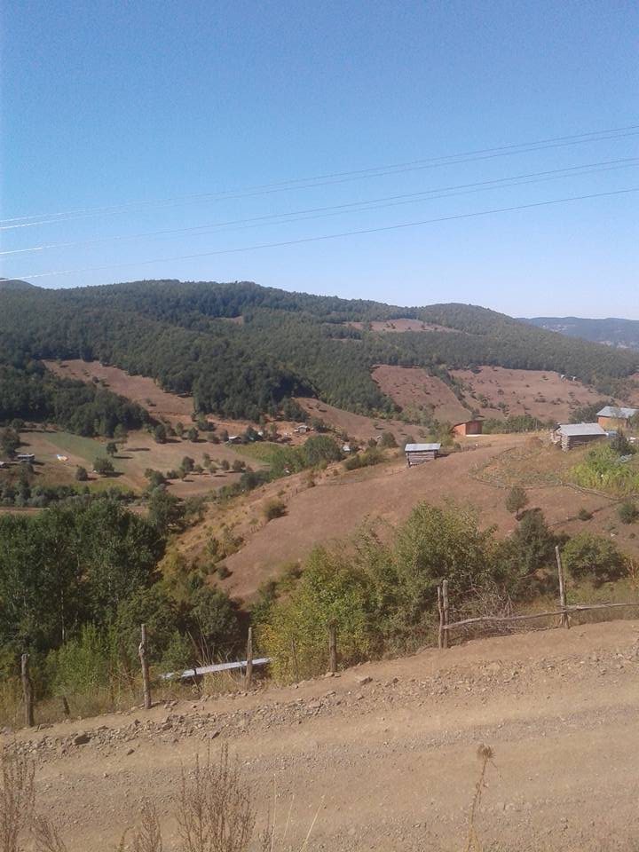 Niksar Yalıköy Köyü Resimleri 7