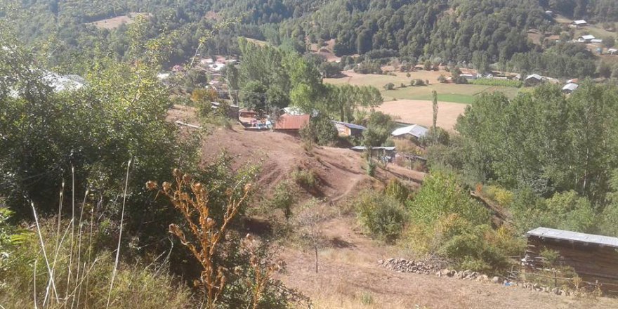 Niksar Yalıköy Köyü Resimleri