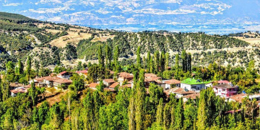 Niksar Yeşilkaya Köyü Resimleri