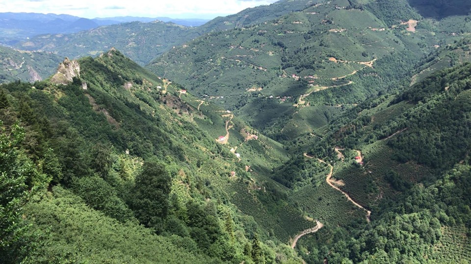 Kabadüz Gelinkaya Köyü Resimleri 2