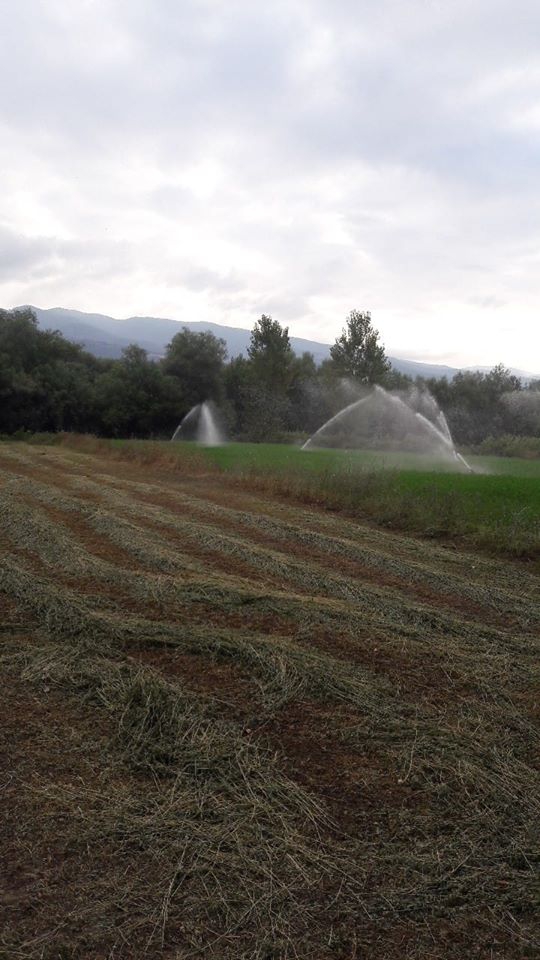 Niksar Yeşilyurt Köyü Resimleri 2