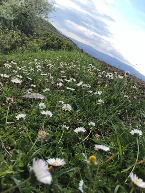 Erbaa Akça Köyü Resimleri 11