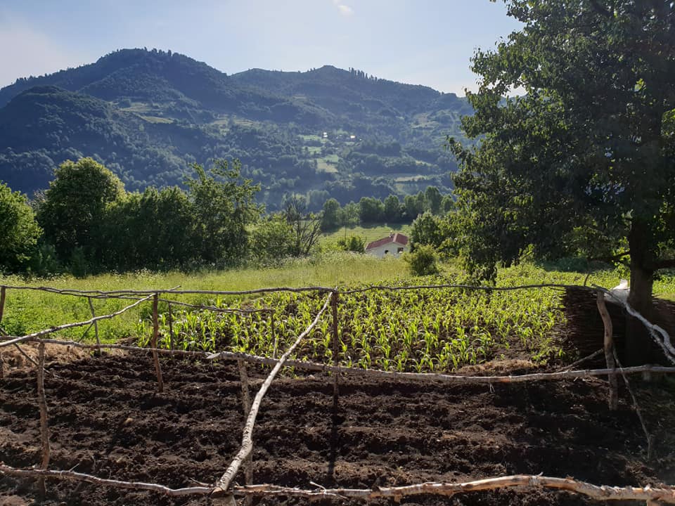 Erbaa Akgün Köyü Resimleri 9
