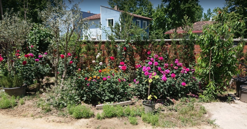 Erbaa Aşağıçandır Köyü Resimleri 8