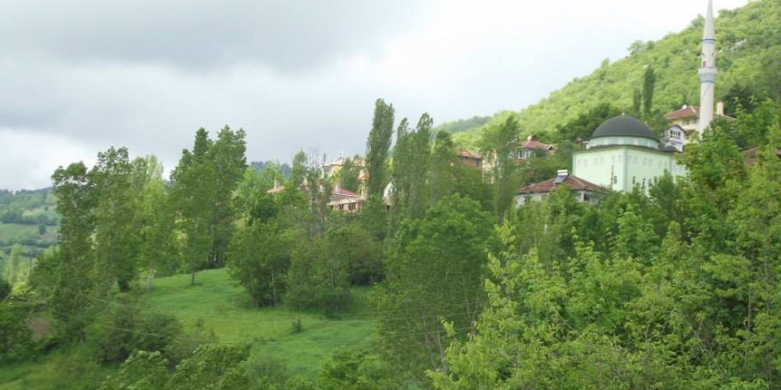 Vezirköprü Habipfakı Köyü