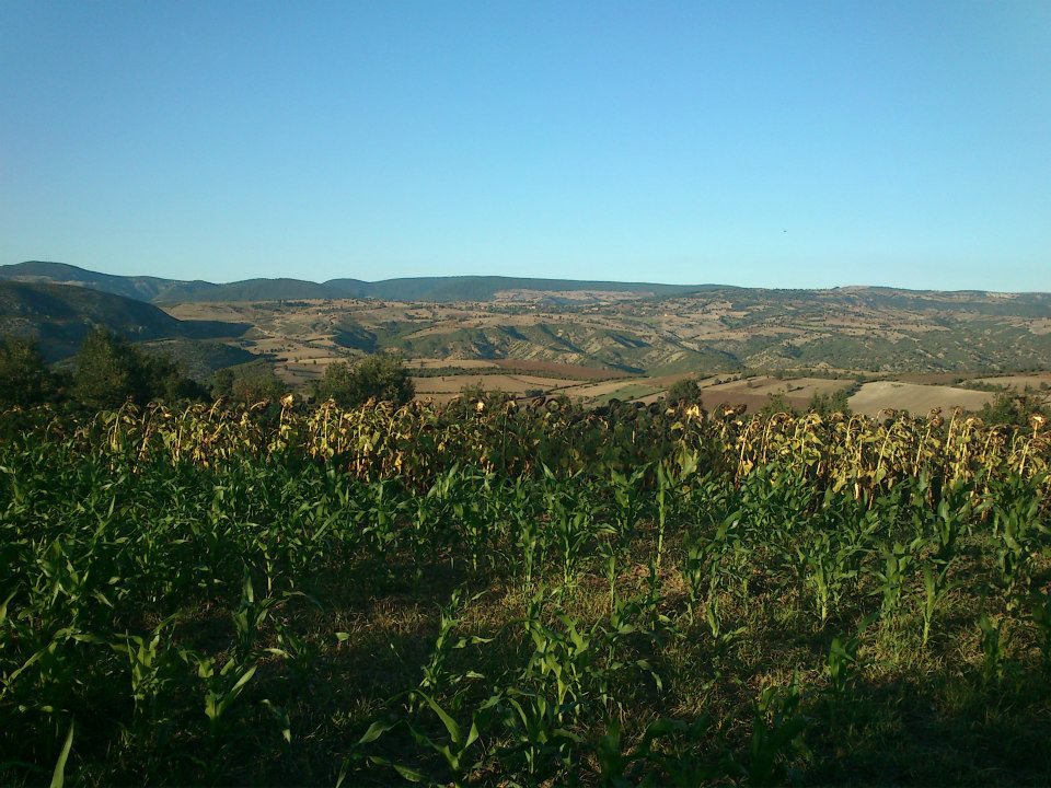 Vezirköprü Hacılı Köyü 10