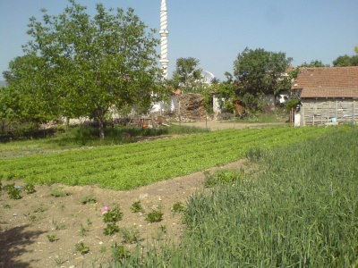 Vezirköprü Hacılı Köyü 3