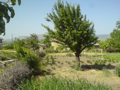 Vezirköprü Hacılı Köyü 7