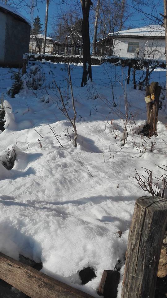 Vezirköprü Halilbaba Köyü 12